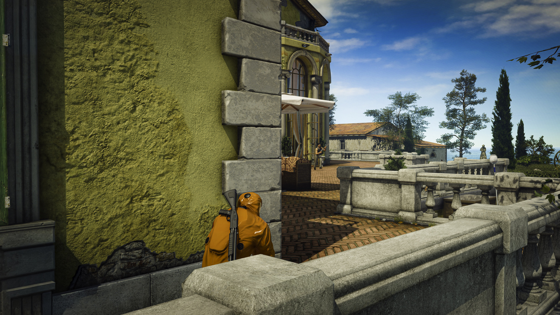 Hitman 33
