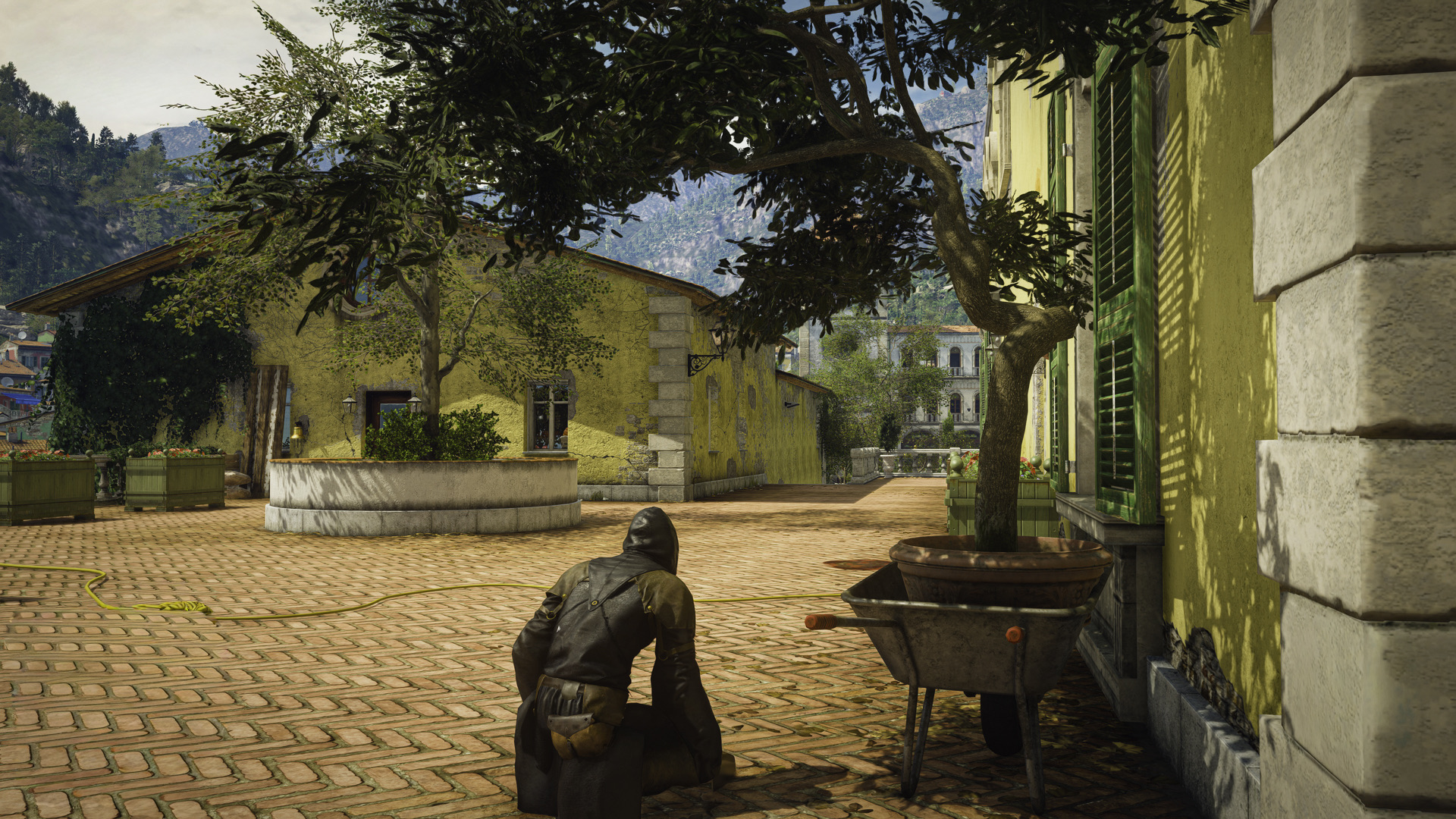 Hitman 43