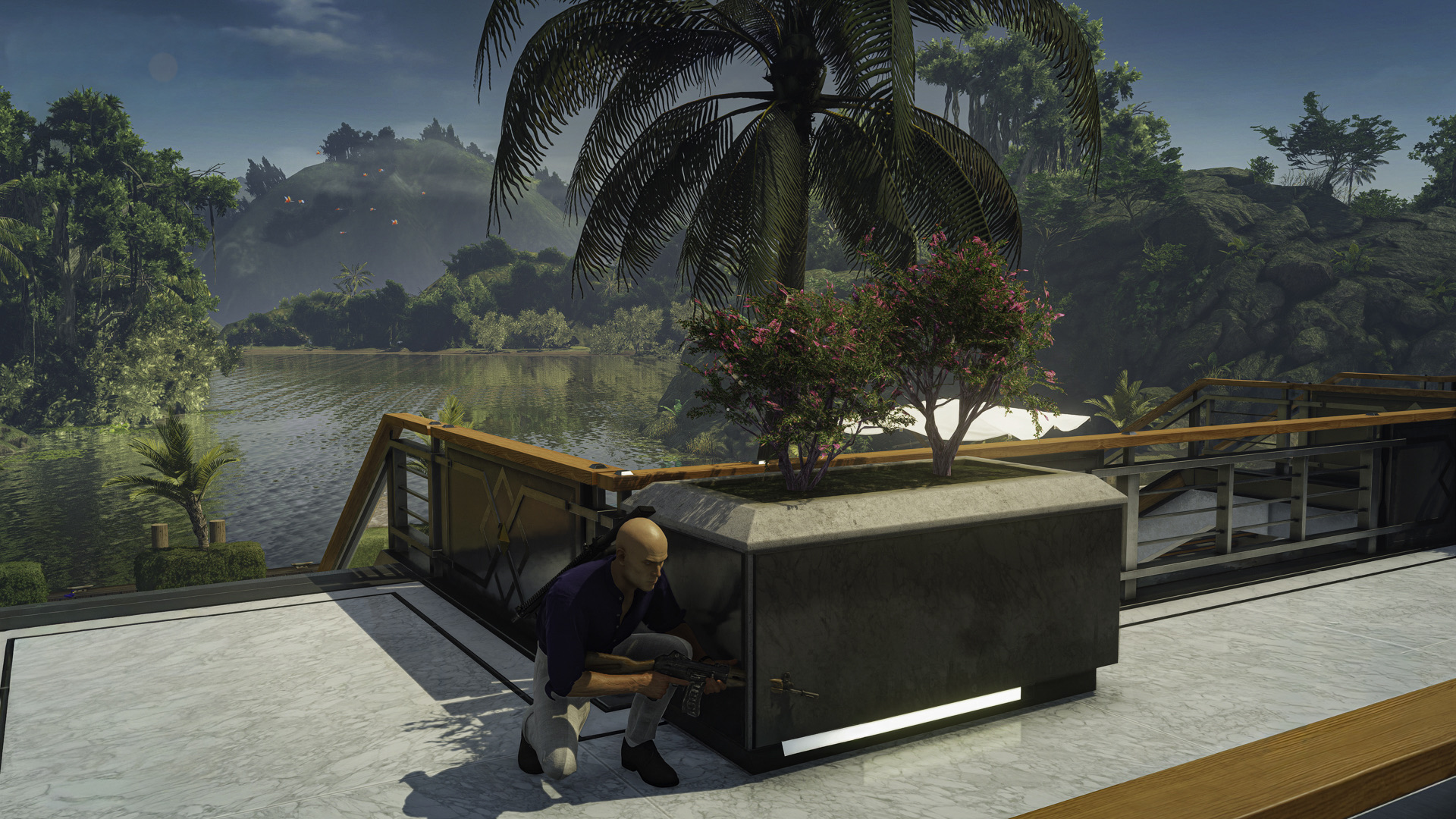 Hitman 55
