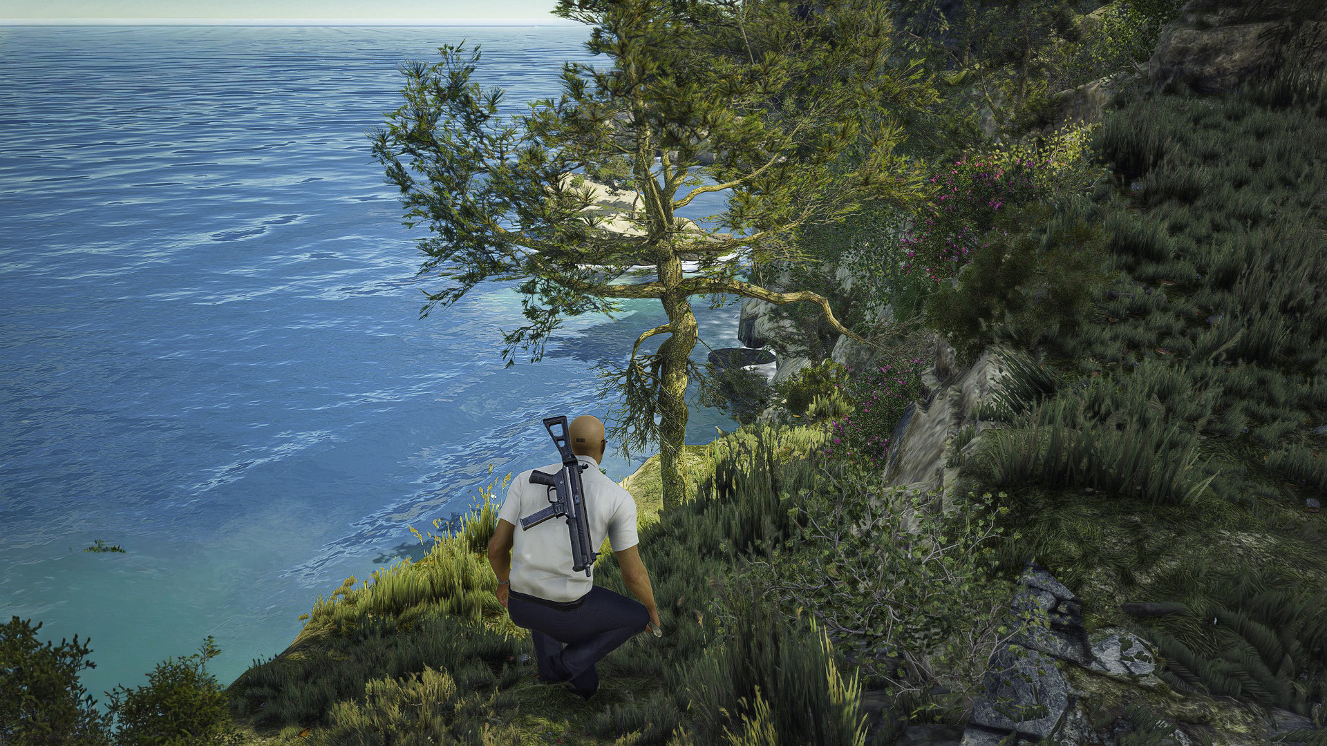 Hitman 65