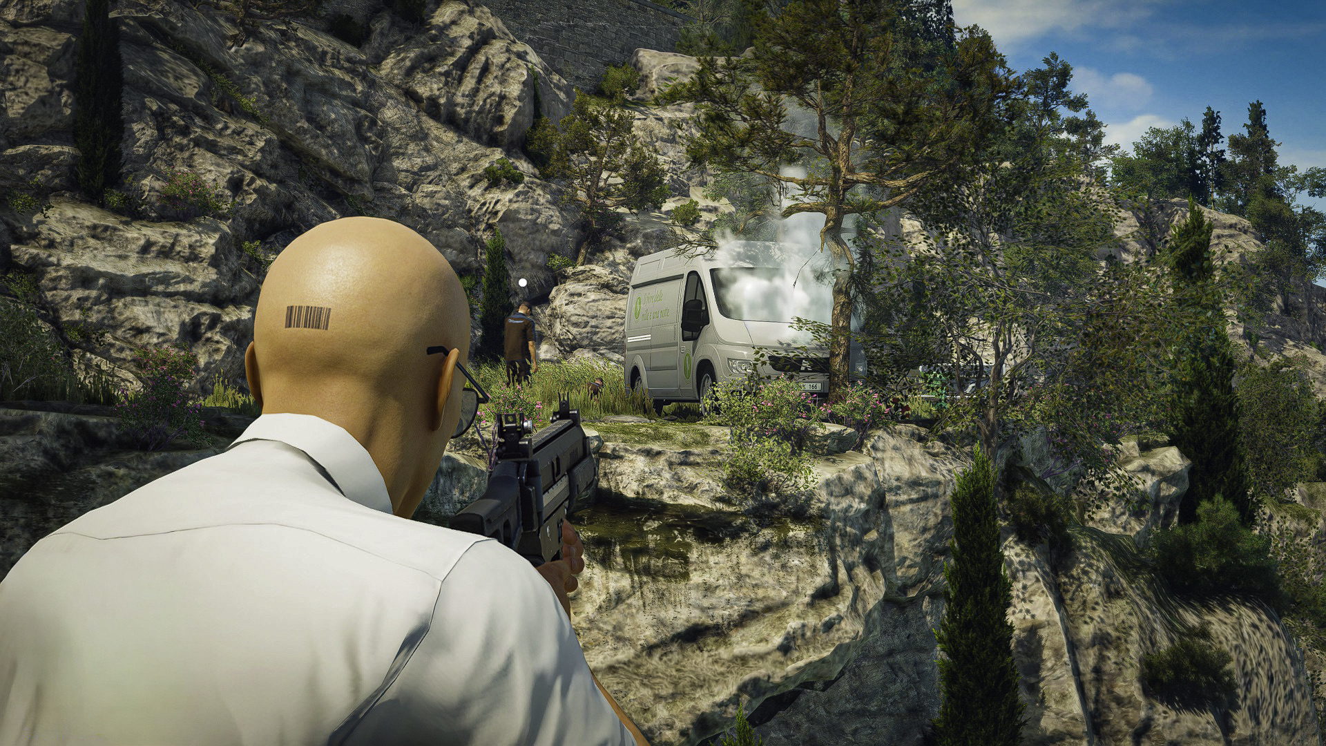 Hitman 66